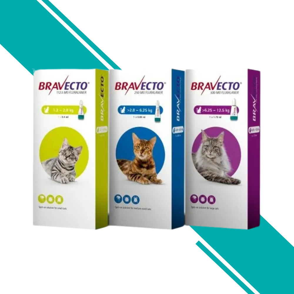 Bravecto Spot-On Treatment for Cats